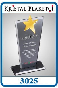 goldstar-award-3025