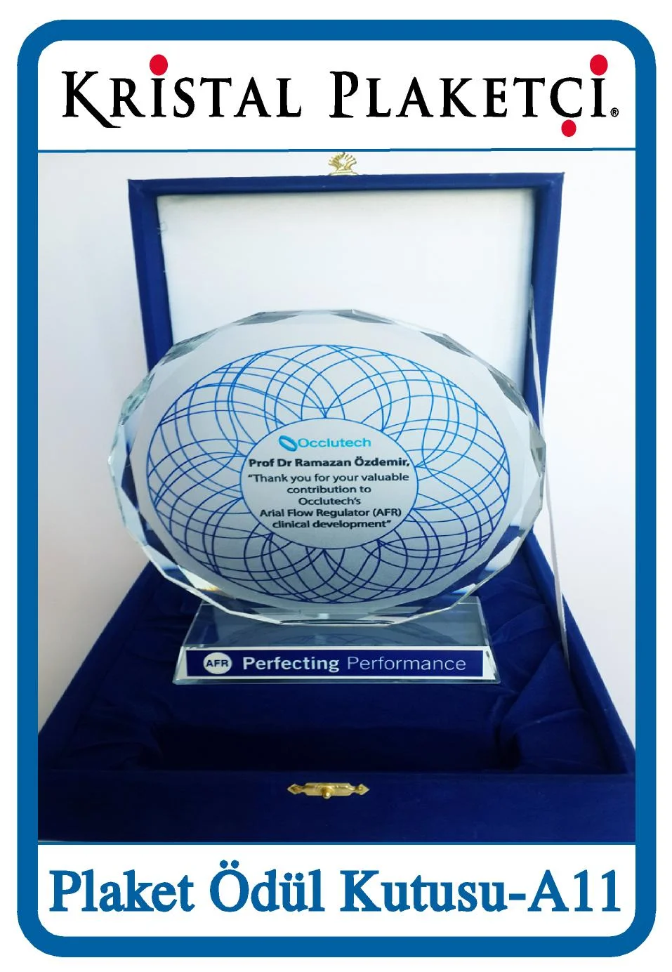 Plaket ödül kutusu A11