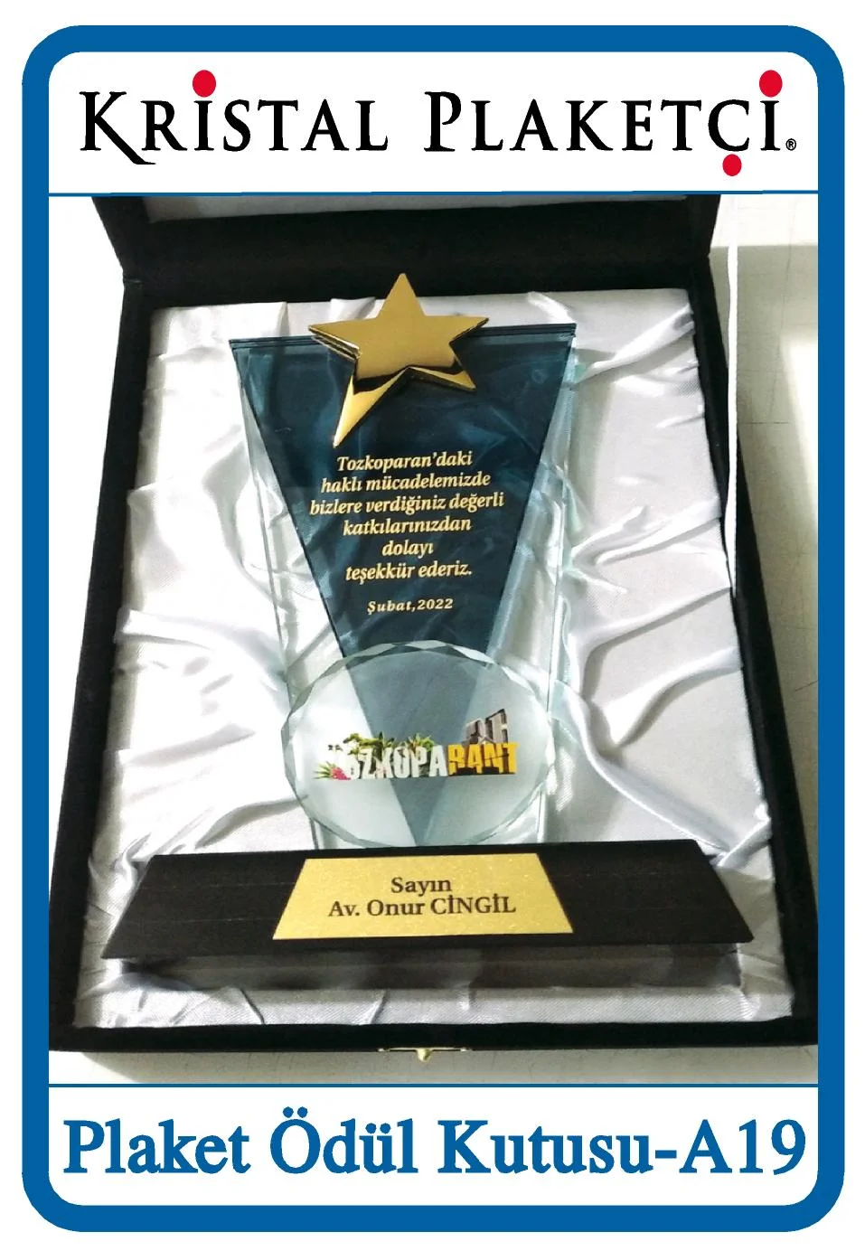 Plaket ödül kutusu A19