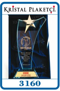 5. yıl plaketi, 10. yıl plaketi