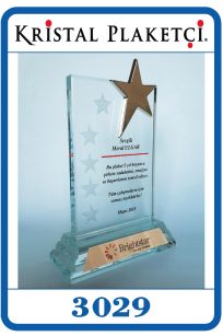 Altın yıldızlı kristal plaket